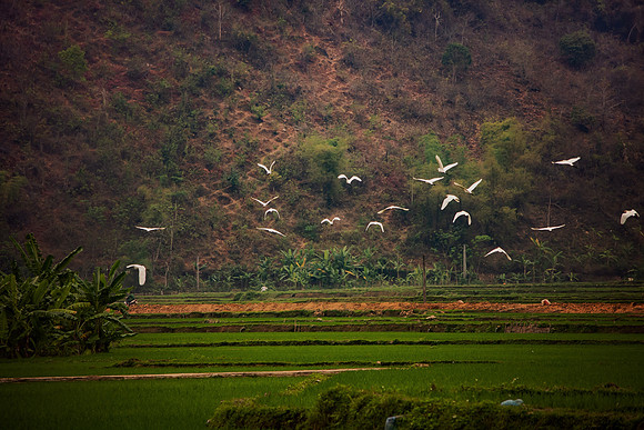 Vietnam 2023 D750 245