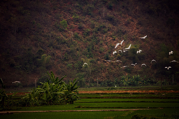 Vietnam 2023 D750 246