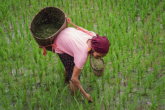 Vietnam 2023 D750 247