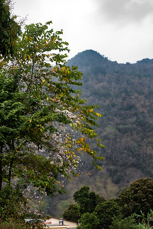 Vietnam 2023 D750 252