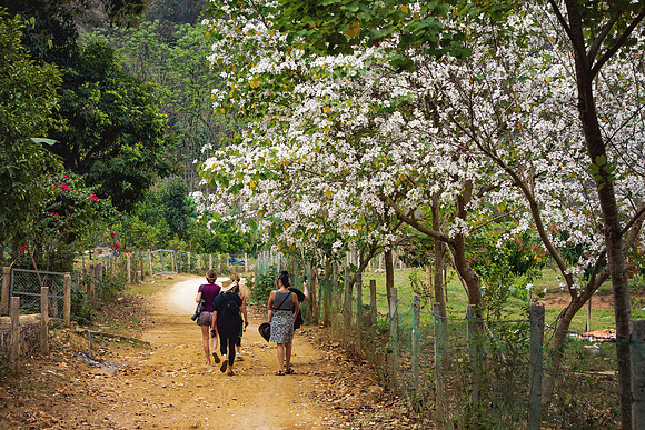 Vietnam 2023 D750 259