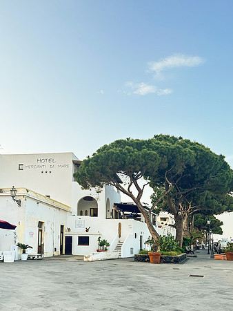 Salina Island, Sicily 2023 020