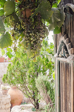 Turkiye D7000 SEPT 2023 037
