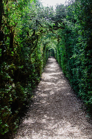 Travel Photography France by Belinda Keller Wilmington NC