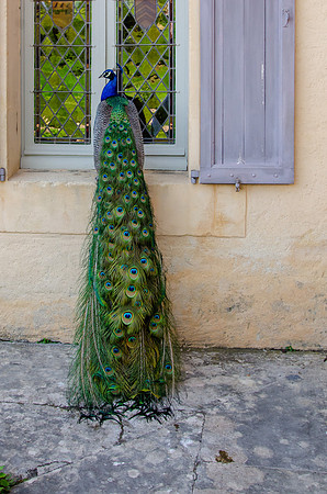Travel Photography France by Belinda Keller Wilmington NC