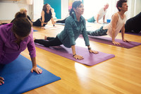 Movement Works 2024 012