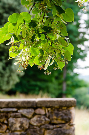 Travel Photography France by Belinda Keller Wilmington NC