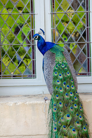 Travel Photography France by Belinda Keller Wilmington NC