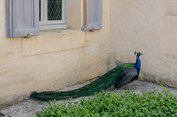 Travel Photography France by Belinda Keller Wilmington NC