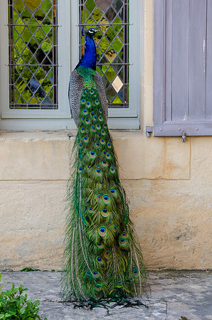 Travel Photography France by Belinda Keller Wilmington NC