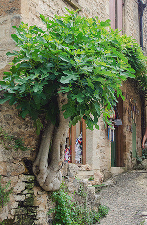Travel Photography France by Belinda Keller Wilmington NC
