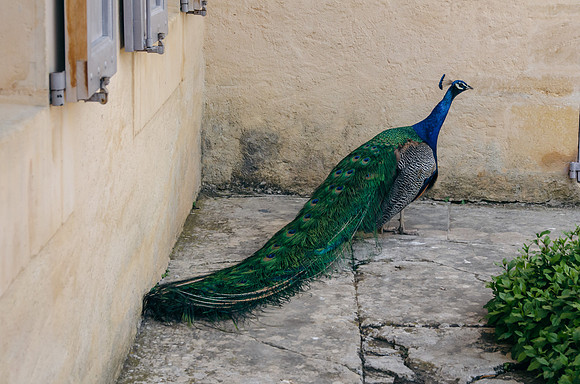 Travel Photography France by Belinda Keller Wilmington NC